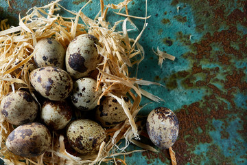 Obraz premium Conceptual still-life with quail eggs in hay nest over blue textured background, close up, selective focus