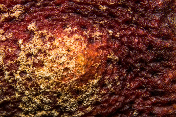 Red with yellow spoiled food texture is macro