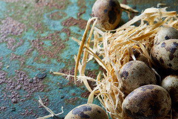 Conceptual still-life with quail eggs in hay nest over blue textured background, close up, selective focus