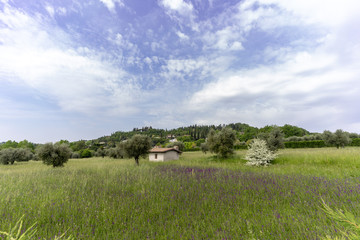 Idylle Blumen Haus Landsschaft