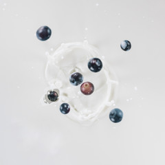 Raw blueberries splashing into milk on white background
