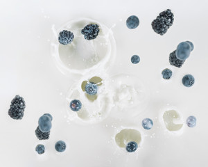 Blackberries and blueberries falling into milk on white background