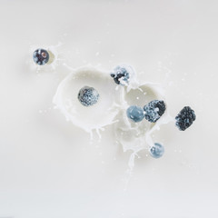 Berries falling in milk with splashes on white background