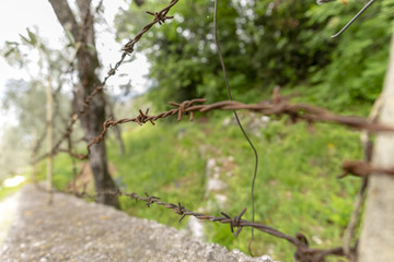 Stacheldraht Makro