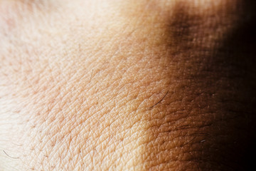 Close up of hand skin