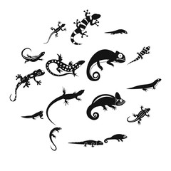 Lizard icons in simple style. Black lizards set isolated vector illustratration