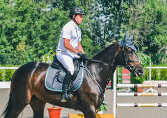 Showjumping competition, bay horse and rider in white uniform performing jump over the bridle. Equestrian sport background. Beautiful horse portrait during show jumping competition.