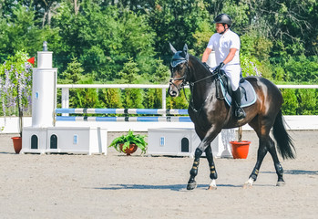 Showjumping competition, bay horse and rider in white uniform performing jump over the bridle....