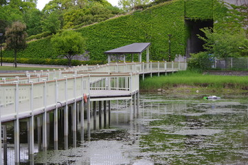 橋と池