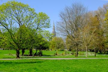 Fototapeta na wymiar Cathedral Behind Trees