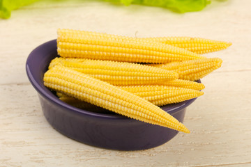 Young baby corn