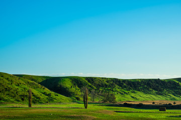 Stunning scene Cloudy and blue sky with green grassland. New Zealand agriculture in the rural area.