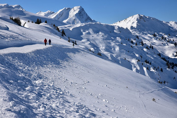 Fototapeta na wymiar Balade dans l'Oberland bernois en hiver, Suisse