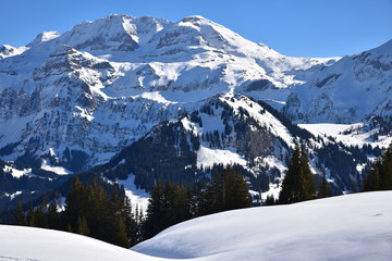 Oberland bernois sous la neige en hiver, Suisse