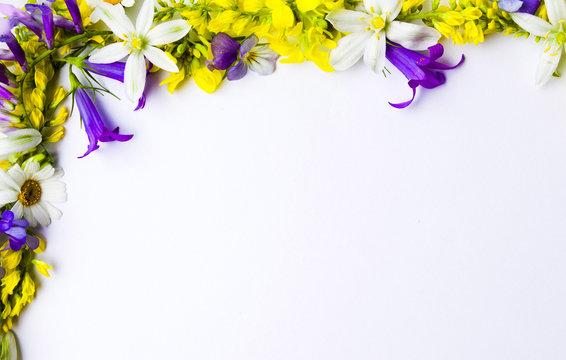 Wildflowers arrangement with copyspace on white background