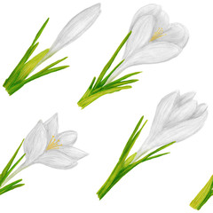 Hand drawn seamless pattern with crocus flower. Beautiful garden or forest spring plants in sketch style for design greeting card, package, textile. Cartoon illustration isolated on white background.