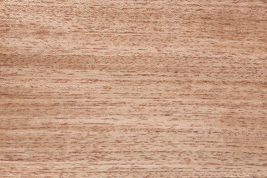 Delicate merbau venner background in adorable beige tone.