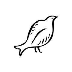 Hand sketched bird. Black cut silhouette on a white background. Hand drawn design elements. Vector illustration.