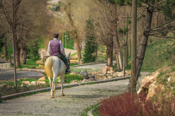 White horse security officer