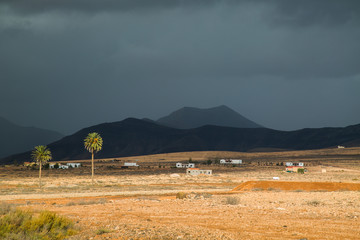 Palm trees in the mountains, Fuerteventura