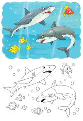 Naklejka premium Sea animals. Ocean. Sharks. Illustration for children. Coloring page. Cute and funny cartoon characters