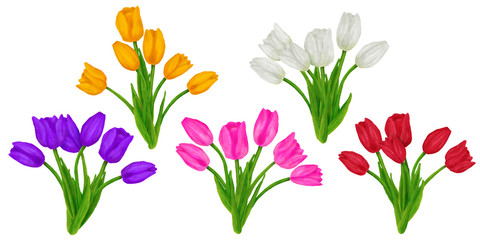 Hand drawn colorful bouquet with tulips flower. Beautiful garden plants in sketch style for design greeting card, package, textile. Cartoon illustration isolated on white background.