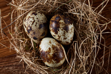Conceptual still-life with quail eggs in hay nest over dark wooden background, close up, selective focus