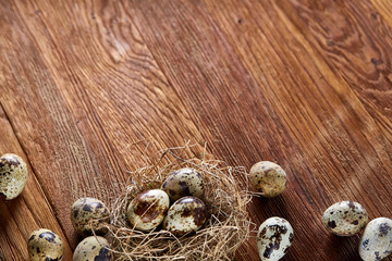 Conceptual still-life with quail eggs in hay nest over dark wooden background, close up, selective focus