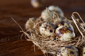Obraz premium Conceptual still-life with quail eggs in hay nest over dark wooden background, close up, selective focus