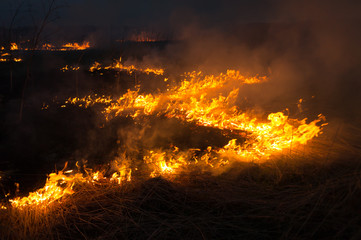 A spring fire. Burning grass. Field Smoke Background