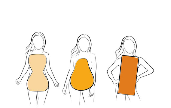 types of figures of women. vector illustration.