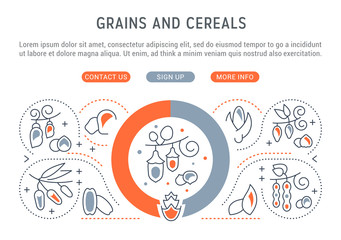 Website Banner and Landing Page of Grains and Cereals.
