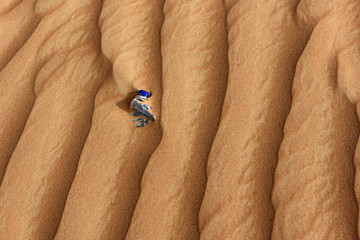 Ariel View of Sand Dunes