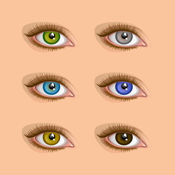 Eyes color set on a skin color background