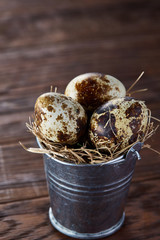 Obraz premium Small decorative bucket filled with quail eggs dark wooden table, close-up, selective focus.