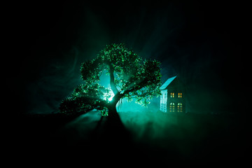 Old house with a Ghost in the forest at night or Abandoned Haunted Horror House in fog. Old mystic building in dead tree forest. Trees at night with moon. Surreal lights