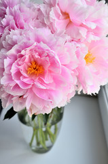 Fresh bouquet of pink peonies peony roses flowers in a vase on white window, background. White table. White wallpaper. White decor. Flowers in the room.
