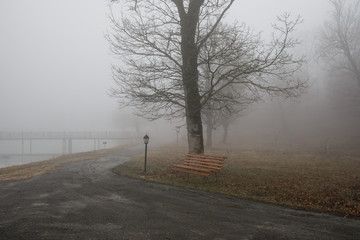Empty bench at park near pond by foggy day, minimalistic cold season scene. bench at the lake in the fog in the forest. Bench near lake with fog. Azerbaijan Nature.
