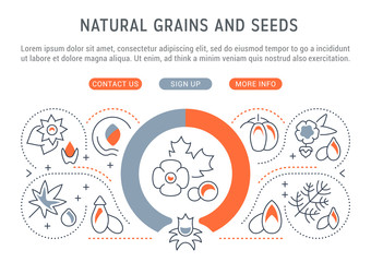 Website Banner and Landing Page of Natural Grains and Seeds.
