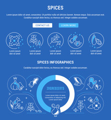 Website Banner and Landing Page of Spices.