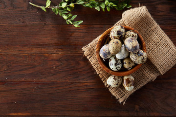 Bowl with eggs quail, eggs on a homespun napkin, boxwood on wooden background, close-up, selective focus