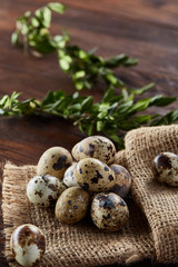 Quail eggs arranged in pyramid on a napkin with boxwood branches over a wooden table, close-up, selective focus.