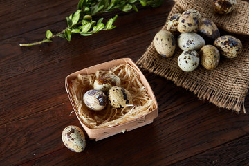 Composition of eggs quail box, eggs on a homespun napkin, boxwood on wooden background, top view