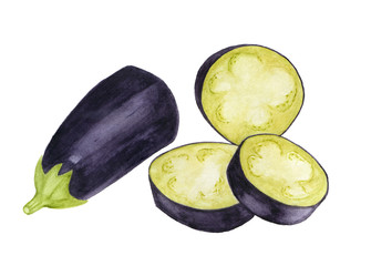 Hand drawn fresh eggplant, watercolor. illustration for food design.