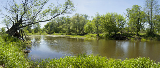 spring panorama of river and trees