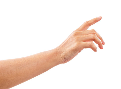 Female hand on the isolated background