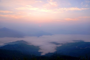 Naklejka premium Morning mountain landscape with wave of fog on the top of mountain with the view into misty valley at Doi Pha Tang, Chiangrai, Thailand