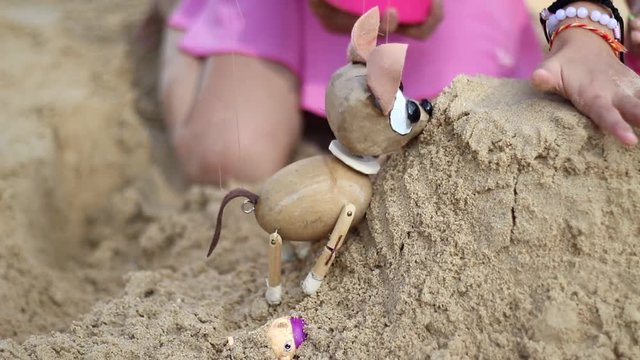Chihuahua manipulate by puppeteer
