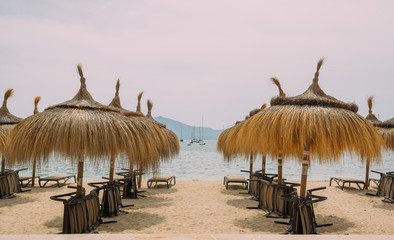 Available palm umbrellas