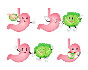 Cute cartoon stomach character with cabbage. Healthy food eating concept. Illustration of fruit, fish, rice and vegetable, good for human stomach.
